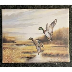 Ruane Manning Vtg Litho Mallard Ducks Waterfowl 8x10 Print Unframed 2000